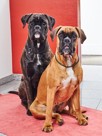 Amy und Zora